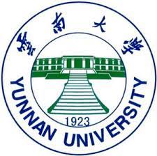 YNU Badge